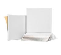 Evvmnaks 10 insonorizzati per pareti, acustici autoaderenti, 12 x 12 x 0,4 PB, per studio di registrazione, ufficio, casa, C