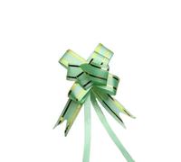 EVWGNPQRV Fiocchi da Regalo, Nastri con Fiocco Multicolori 200 Pezzi for Confezionare E Decorare(A-Green-s)