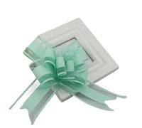 EVWGNPQRV Fiocchi da Regalo, Nastri da Neve con Fiocco Multicolore 10 Pezzi 16 cm Diametro Fiore Confezione Matrimonio(HL)