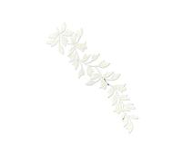 EVWGNPQRV Toppe Ricamate, Toppa applicata con Ricamo Floreale a Foglia Lunga 24x6,5 cm Multicolore, 2 Pezzi termoadesiva(White)