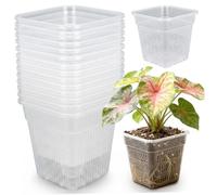 EVWGNPQRV Vasi da fiori in plastica trasparente, Vasi for piante in plastica trasparente quadrati for vivaio bianchi da 6 pollici, confezione 15 con fori for potatura ad aria