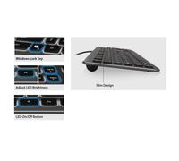 Ewent Tastiera retroilluminata a LED EW3268, cablata USB, dimensioni standard, caratteri grandi, layout QWERTY italiano, nero/grigio