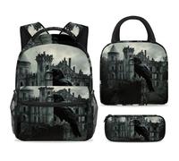 ewndhtse Set di zaino per la scuola con borsa per il pranzo e astuccio, set da 3 pezzi, zaino da viaggio, zaino casual per adolescenti, ragazze, ragazzi, primaria, junior, medio, corvo sul muro del