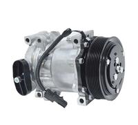 EWQPHLS Compressore AC compatibile con Dodge Ram 1500 Dakota Durango 55055802AD 55055540 04849040AD 4849040AD 55055540AC 55055540AH 55055540AE