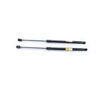 EWQPHLS Supporto ammortizzatore compatibile con Audi Q7 4L 2006-2016 3.0T 3.6L 4.2T 6.0T 4LO827552E Barre di sollevamento for portellone posteriore Accessori 2 pezzi Molla posteriore