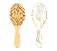 Ewusp Spazzola districante per capelli con drago in stile cartone animato, per donne e uomini, antistatica e districante, spazzola per capelli bagnati e asciutti, per capelli ricci, spessi, ondulati e