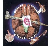 EX WISE HEADS - NO GREY MATTER