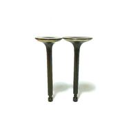 EX17 EX21 .& Set adatto for ingresso e uscita del generatore EX21 EX17