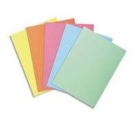 Exacompta 10 confezioni da 30 sottocartelline Super assortite