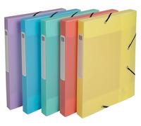 Exacompta 10 scatole archivio Cartobox Chromaline A4 PP dorso 2,5 cm