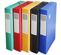 Exacompta 10 scatole archivio Scotten A4 dorso 6 cm assortite