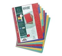 Exacompta 1408E Divisori e Segnaletica, 21x29.7 cm