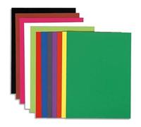 Exacompta 150001E Sotto Cartelle, 22x31 cm, Multicolore