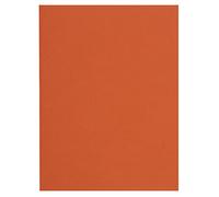 Exacompta 150007E Sotto Cartelle, 22x31 cm, Arancio