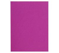 Exacompta 150020E Sotto Cartelle, 22x31 cm, Fucsia