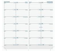 Exacompta - 17870E - Ricarica Quinzainier per Agenda SL17 - Fetta oro - 9 x 17,5 cm - da gennaio a dicembre 2025