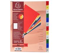 Exacompta 20 divisori PP 12 tacche mensili a colori