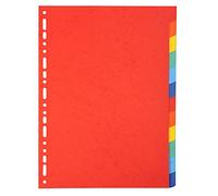 Exacompta Separatore Forever - 12 tacche - cartoncino riciclato 220 gr - A4 - multicolore