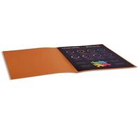 Exacompta 210014E Cartelle Semplici, 24x32 cm, Caramello