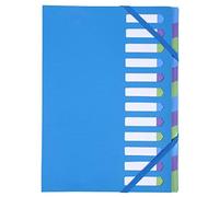Exacompta 22229E Forever - Raccoglitore con 31 scomparti, gamma di linguette pla