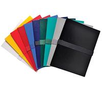 Exacompta 2640E Faldoni estensibili a strappo colori ass.