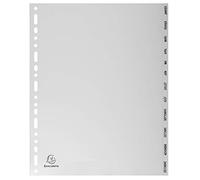 Exacompta Divisori e Segnaletica 2812E – 21 x 29,7 cm – Grigio