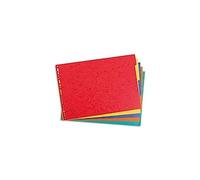 Exacompta 2905E Divisori e Segnaletica, 43 x 29.70 x 0.40 cm
