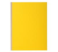 EXACOMPTA 416009E Conf. 10 cart.a soffieto Rock''s 320 Giallo