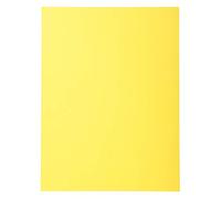 Exacompta 420005E - Lote de 100 Subcarpetas Forever® 180, Color Amarillo