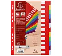 Exacompta Divisori e Segnaletica 4912E 21 x 29,7 cm Multicolore