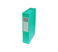 Exacompta 50603E Scatole Archivio, 24x32 cm, Verde