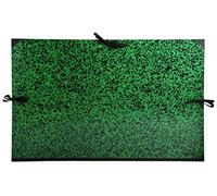 Exacompta 533600E Cartelle Porta Disegni e Valigette, 80x120 cm, Verde