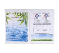 Exacompta 5381E Buste, 29x21 cm