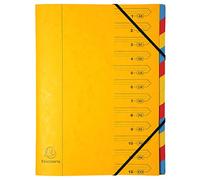 Exacompta 54129E - Cartella portadocumenti in cartoncino Colorspan extra resistente, formato DIN A4, 12 scomparti colorati e 2 elastici in gomma con stampa organizzativa, colore: giallo