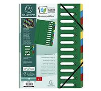 Exacompta 55123E Classificatori a Soffietto, Interno, 24x32 cm, Verde