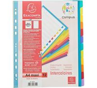 Exacompta Campus A4 File Divisori extra Largo 12 Parte Plastica Colori Assortiti