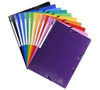 Exacompta 55840E Cartelline, Colori Assortiti