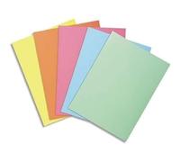 Exacompta - Cod. 850000E - 1 Confezione da 250 cartellette semplici SUPER 60 - Cartoncino da 60 g/mq certificato PEFC - Formato 22x31cm per A4 - Colori random
