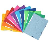 Exacompta Europa Cartelletta A4 24 x 32, multicolore, pacco da 10