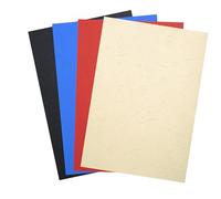 Exacompta Forever Pack di 100 copertine per A4 270 G/m², colori assortiti