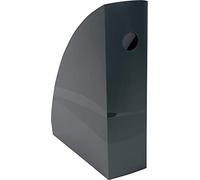 Exacompta MAG-CUBE - Portariviste, formato A4, motivo: topolino, colore: grigio