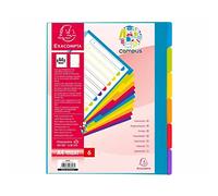 Exacompta - Ref 3806E - Scatola da 25 divisori rigidi semi-opachi in polipropilene con 6 linguette Campus Neutral - Pagina indicizzazione stampabile - Formato A4 Maxi File - Colori traslucidi