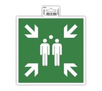 Exacompta - Ref. 67005E - 1 pannello adesivo Punto di montaggio - In PVC antiscivolo e resistente ai raggi UV - Dimensioni : 20 x 20 cm - Colori verde e bianco