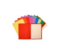 Exacompta - Rif. 160300E - 10 confezioni da 10 camicie rigide FLASH 220 g/m2 dai colori vivaci - 100% riciclate e certificate angelo blu - dimensioni 24 x 32 cm per formato A4-10 colori assortiti