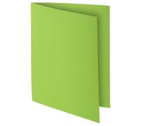 Exacompta - Rif. 217113E - Cartone da 10 confezioni da 10 camicie rigide ROCK''S 210 g/m2 dai colori vivaci - camicie certificate PEFC - dimensioni 24 x 32 cm per formato A4 - colore verde