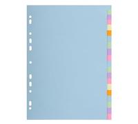 Exacompta - Rif. 2620E - 1 cartoncino pastello Forever 170 g/m2 con 20 linguette neutre - formato A4 - Dimensioni 22,5 x 29,7 cm - Vari colori pastello