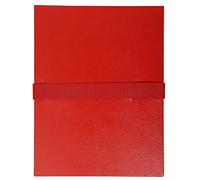 Exacompta - Rif. 2645E - Cartone da 10 camicie con schienale elasticizzato balacron senza patta - chiusura con cinghia autoaderente/scratch - capacità 1000 fogli - dim 24 x 32 cm - per formato A4