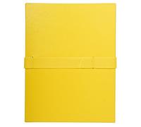 Exacompta - Rif. 2649E - Cartone da 10 camicie con schienale elasticizzato balacron senza patta - chiusura con cinghia autoaderente/scratch - capacità 1000 fogli - dim 24 x 32 cm - per formato A4