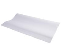 Exacompta - Rif. 41653E - Cartoncino con 5 ricariche di carta flipover per conferenze - Carta offset premium 72 g/m² - 20 fogli vuoti microforati - 65 × 100 cm - Certificato FSC