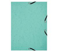 Exacompta - Rif. 555663E - Cartone da 10 camicie a 3 lembi con elastici per acquerello + 25 spine Bristol A5, speciale revisione per un'organizzazione per tema o materiale, colore: Verde pastello